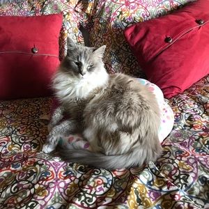 Meet your Posher, Phyllis